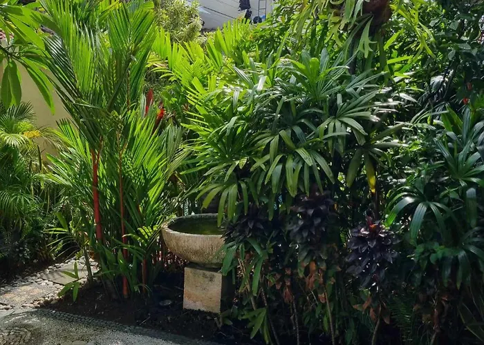 Bumiayu 3 Sanur (Bali)